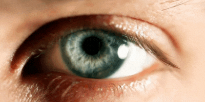 expert eye