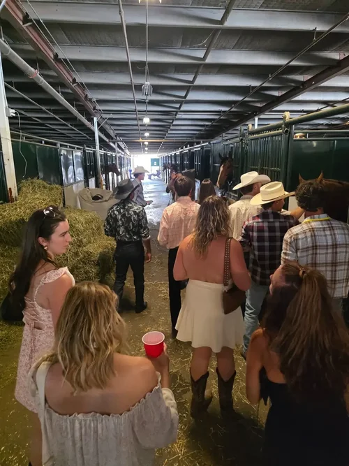 Guests receiving behind-the-scenes access in the Calgary Stampede barns