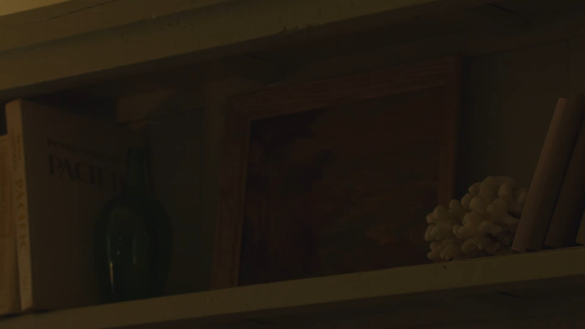Dark photo of shelf in house