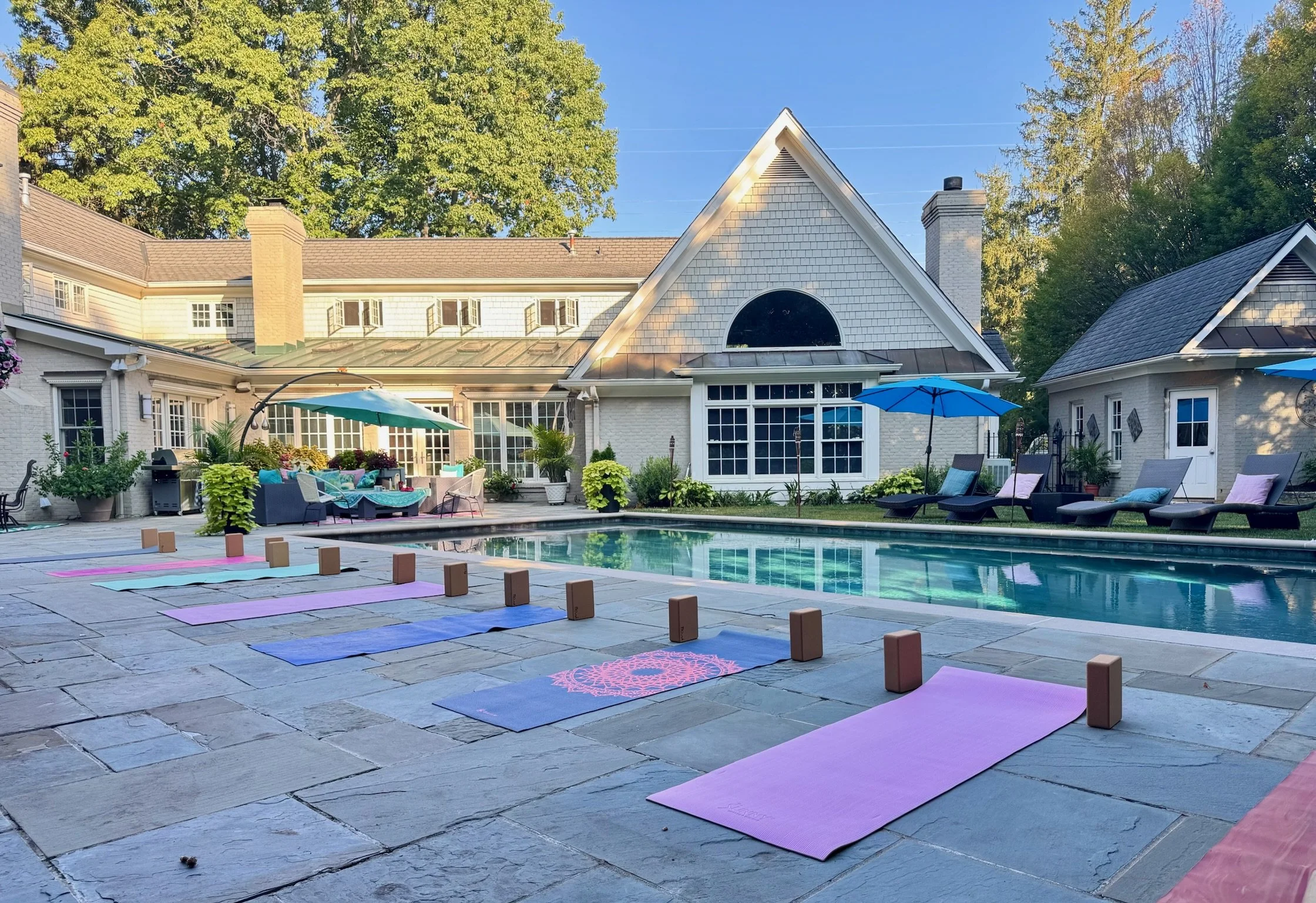 Yoga mats with a view
