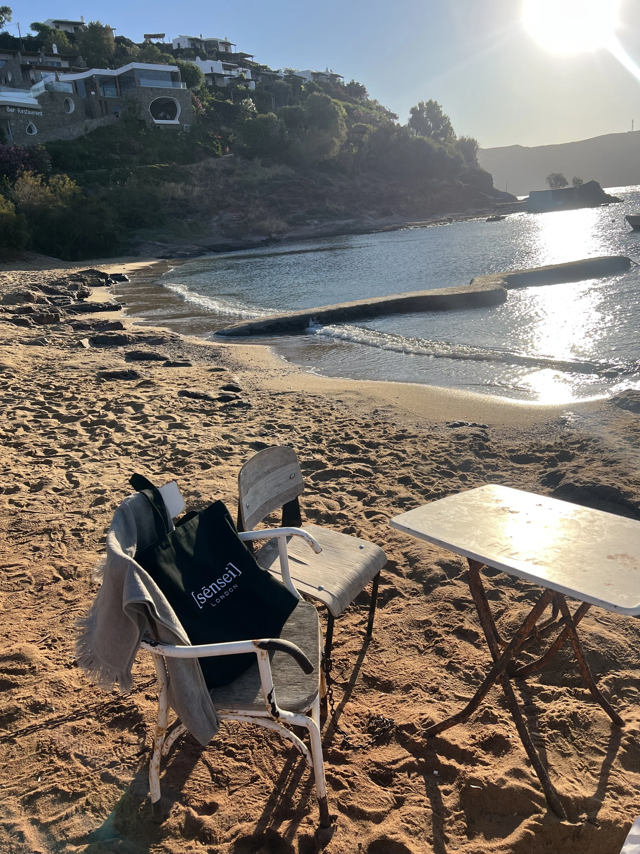 A [sēnsei] artist with the house kit by the sea