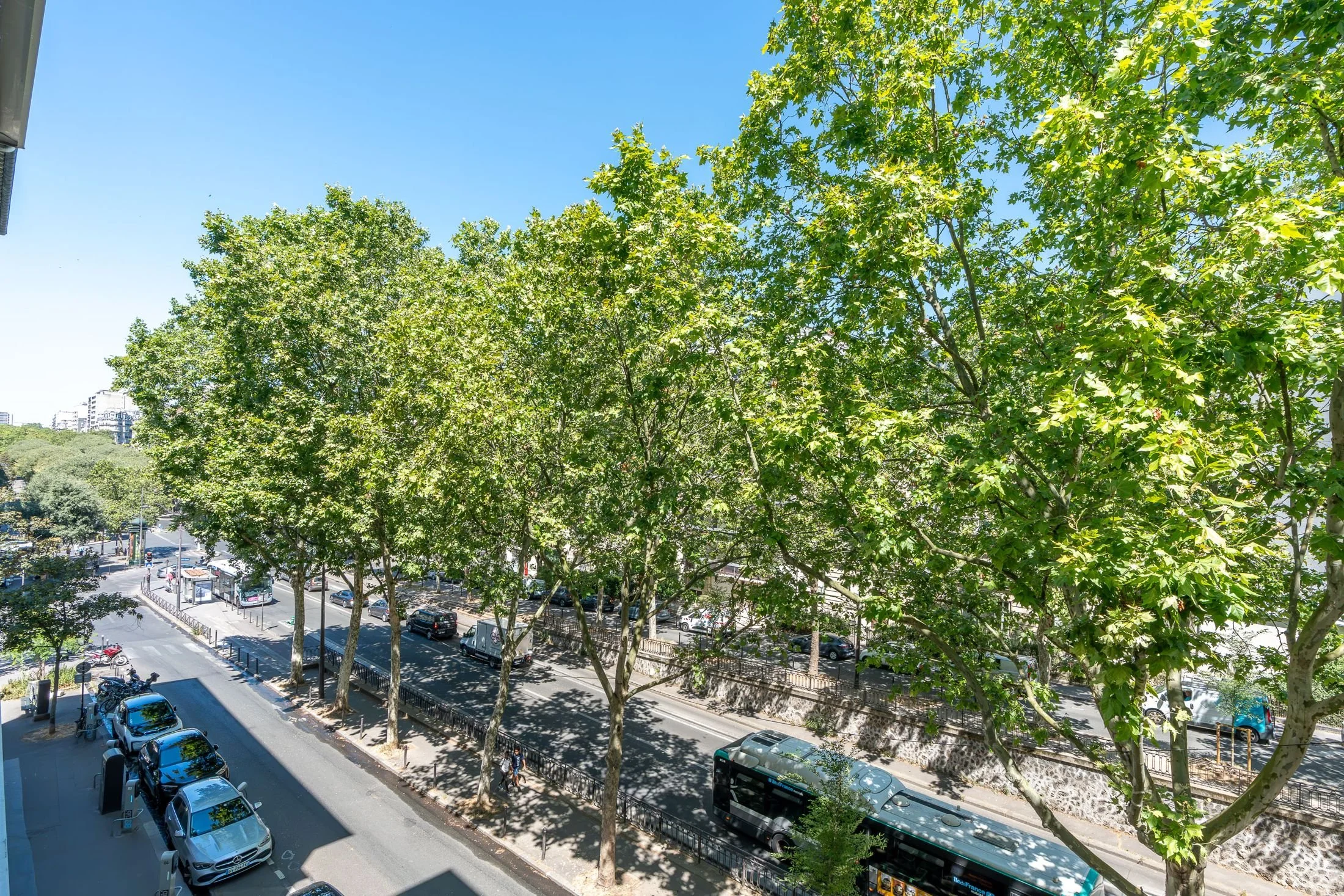 Vue sur les arbres côté chambres