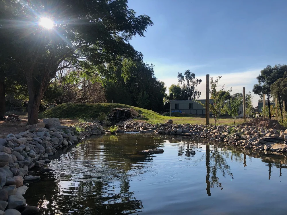 Pond and open paddocks for nature-exposure cortisol reduction at the Little Farm of Calm burnout retreat, Benalla Victoria