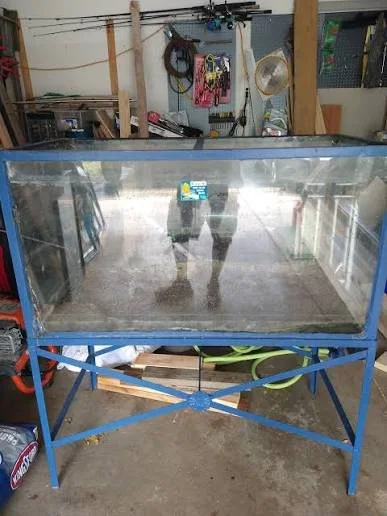 Sydney Glass fish tanks