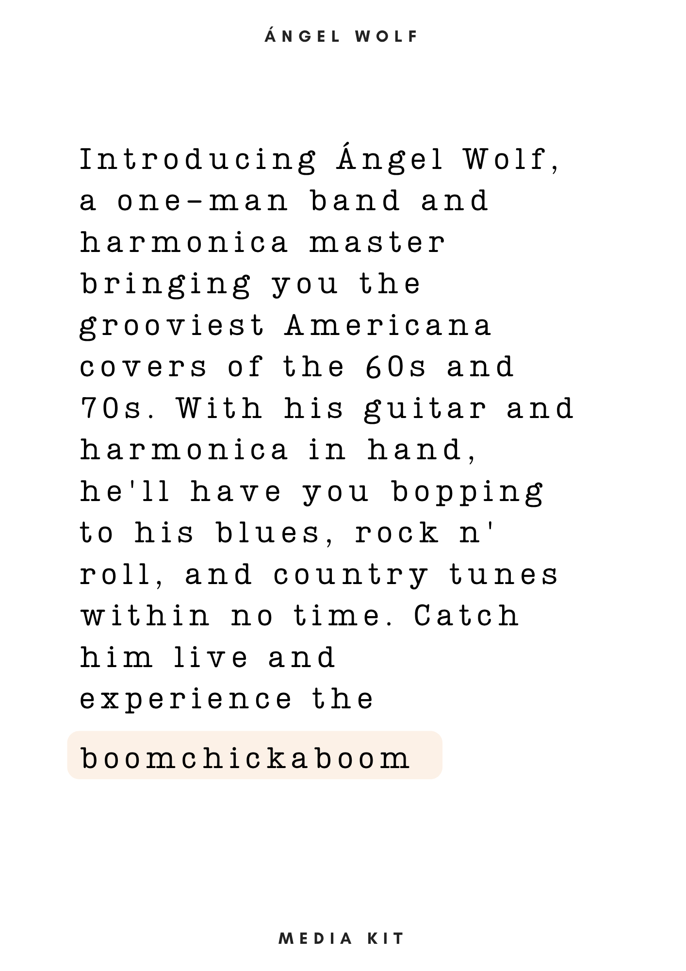 Mediakit Angel Wolf
