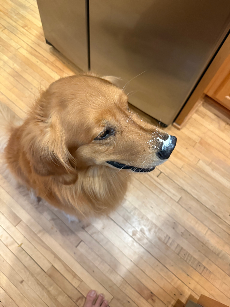 Benny now, hearing his name called from above, slightly lifts his head and a smile begins to form. 