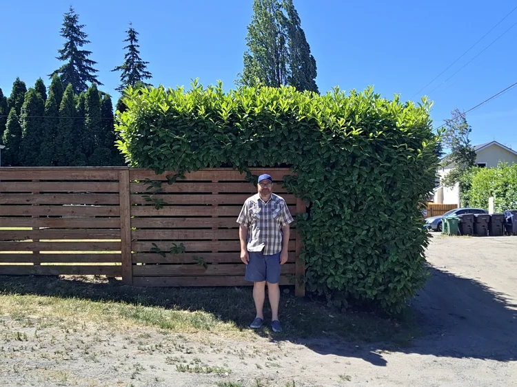 Photo of Andrew standing in front of some ridiculously huge hedges. The camera is far away for full context. Andrew seems small standing in front of them. 