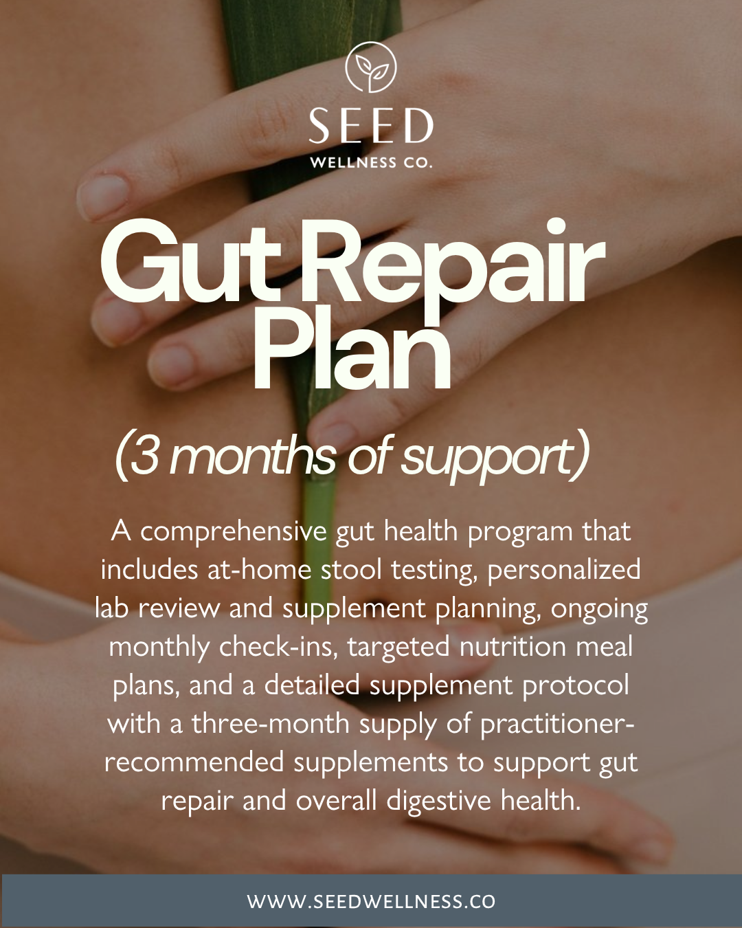 Gut Repair Plan