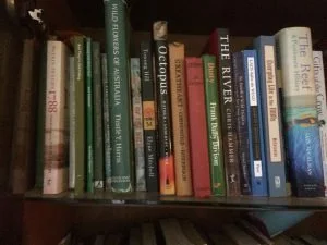 Books Spark Joy, Jennifer Scoullar, @PamelaCookAuthor