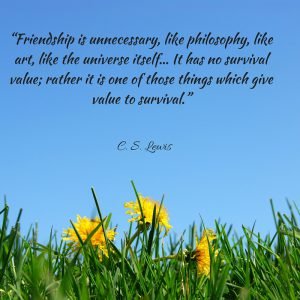 “Friendship is unnecessary, like philosophy,