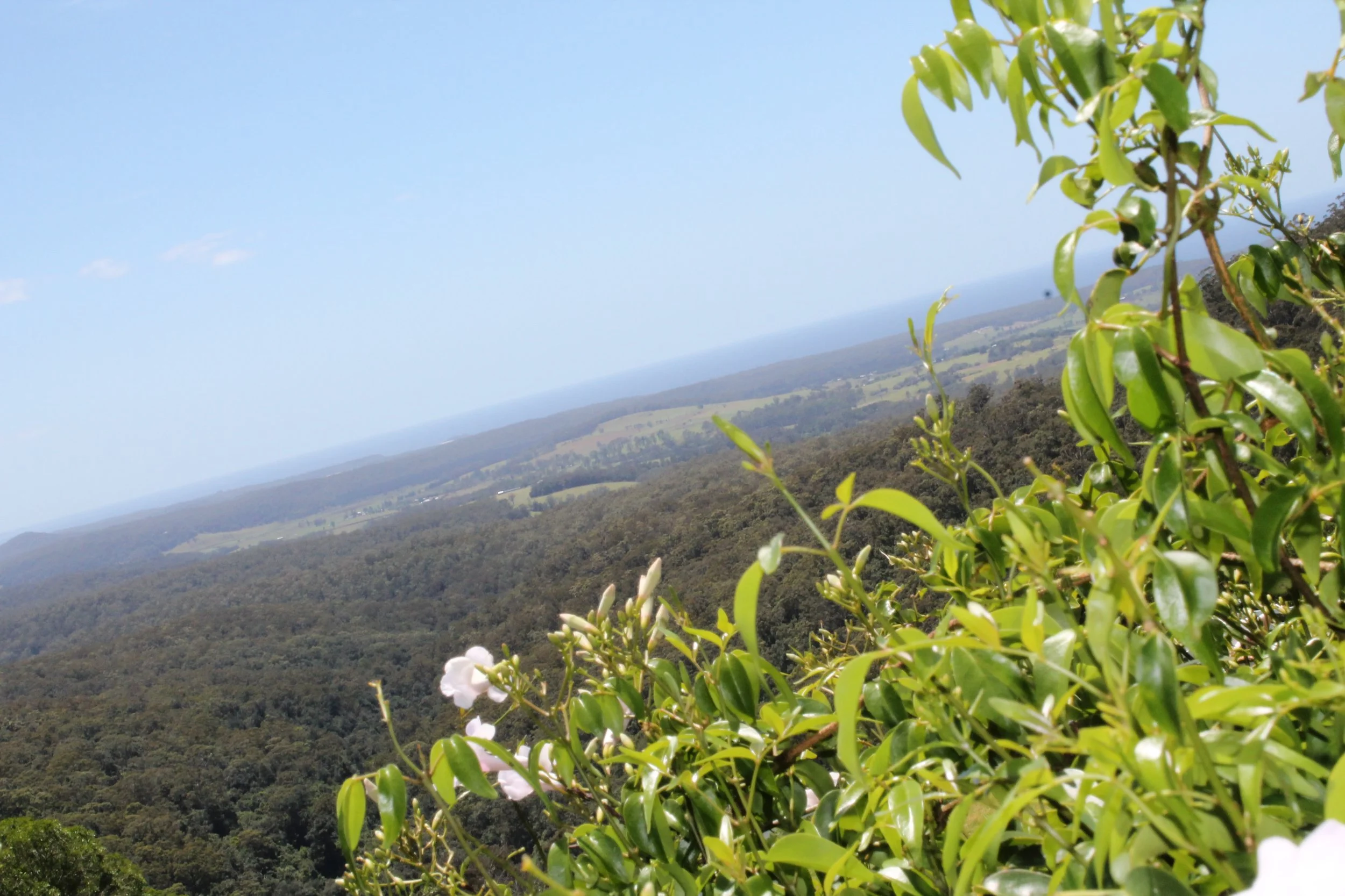 Where I'm Writing From in January