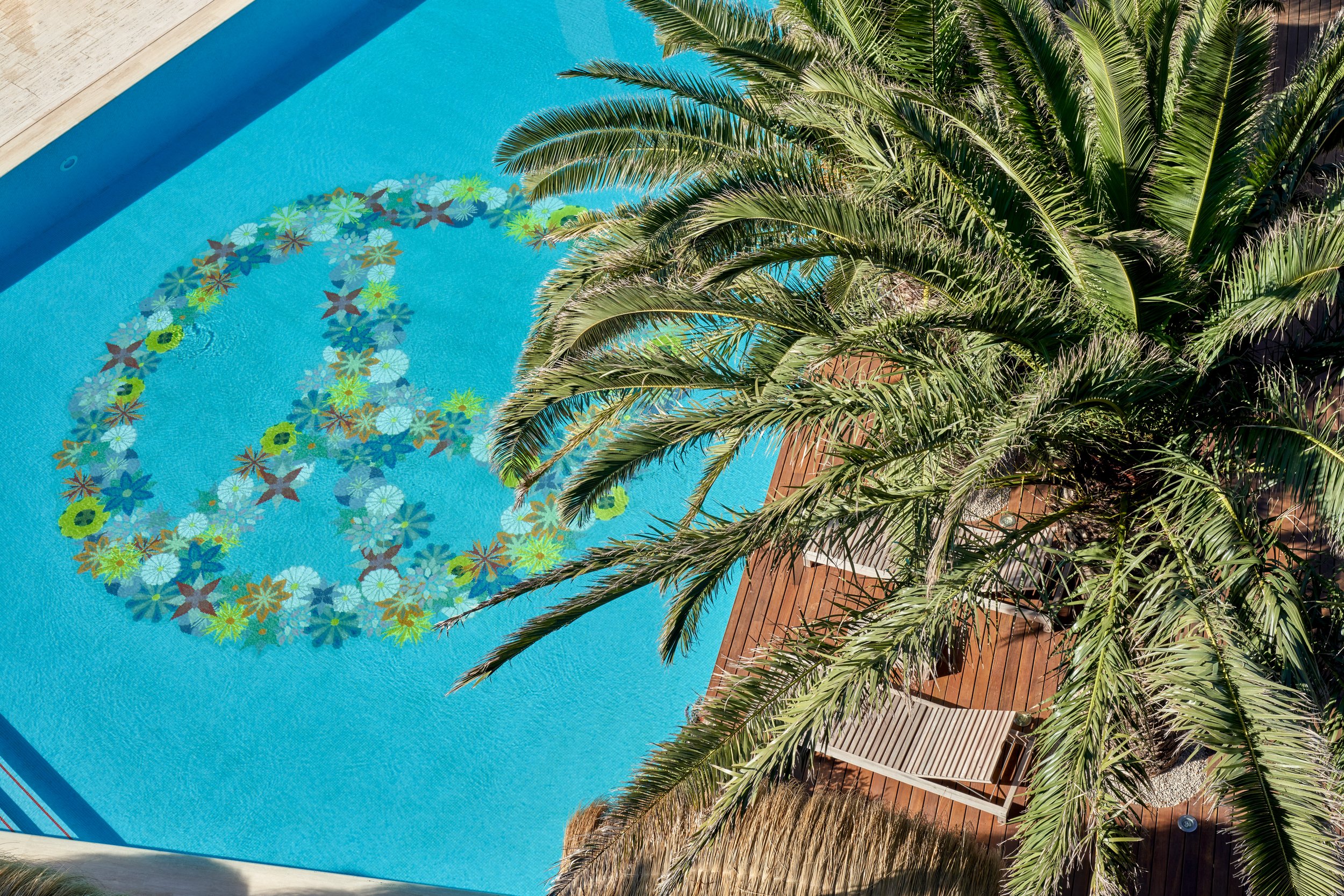 Pool Panorama
