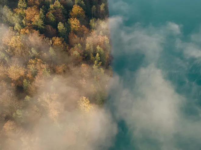 Natur am Faaker See