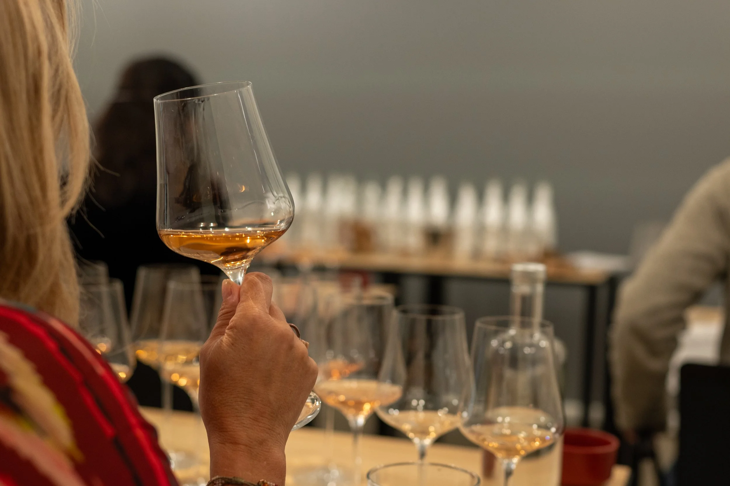 Professional blind wine tasting at the table