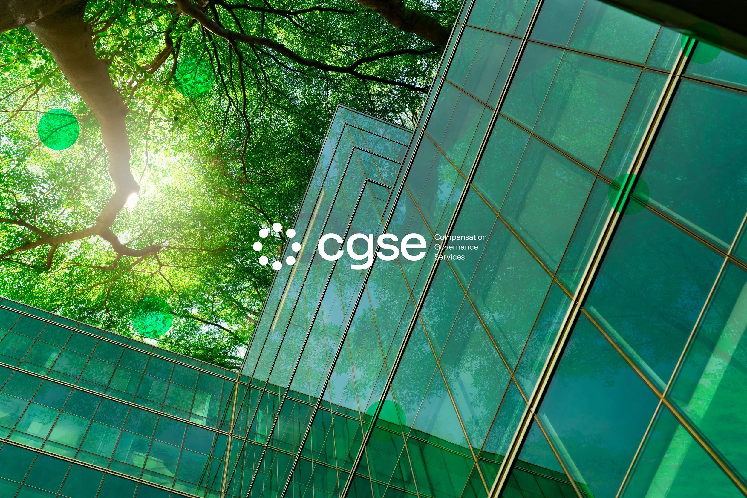 CGSE Page Banner