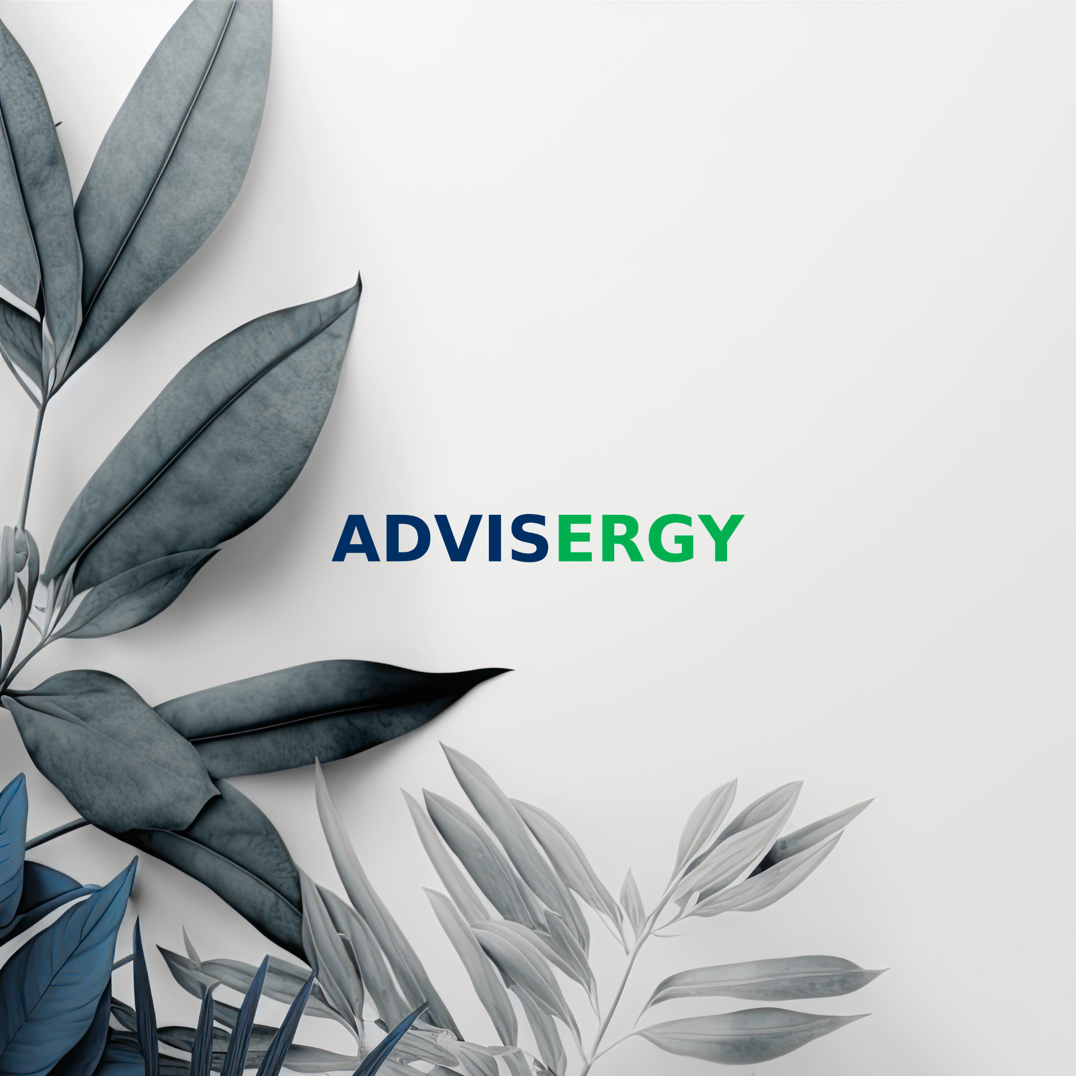 Advisergy Banner