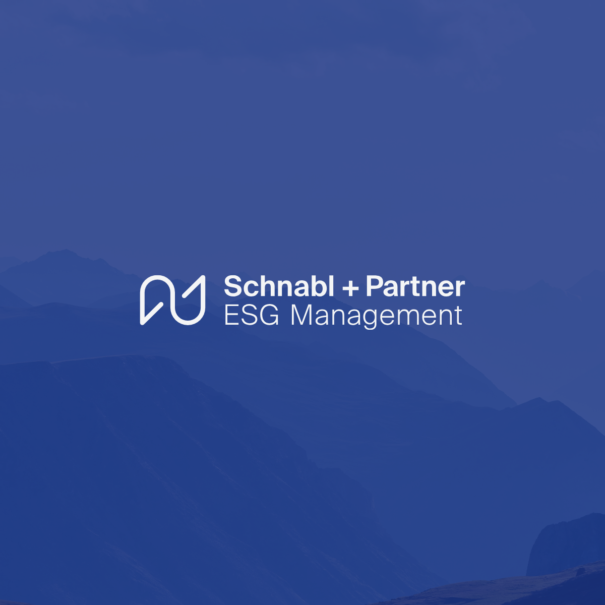Schnabl + Partner Banner