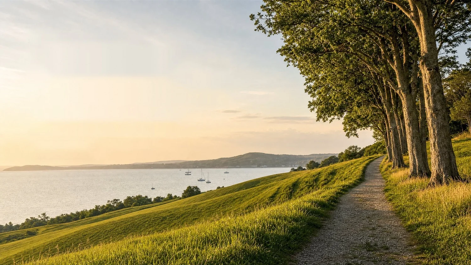 A tree-lined gravel path over grassy hills above a calm harbor with sailboats, in golden evening light