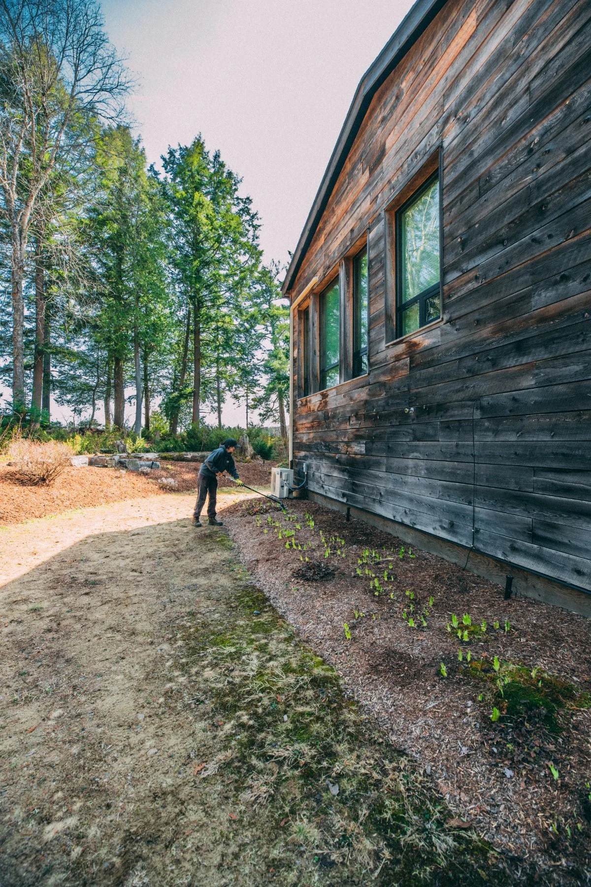 Mike's Landscaping photo 5