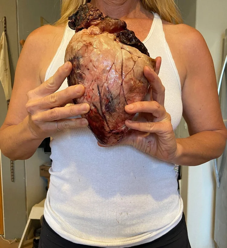 The elk heart.