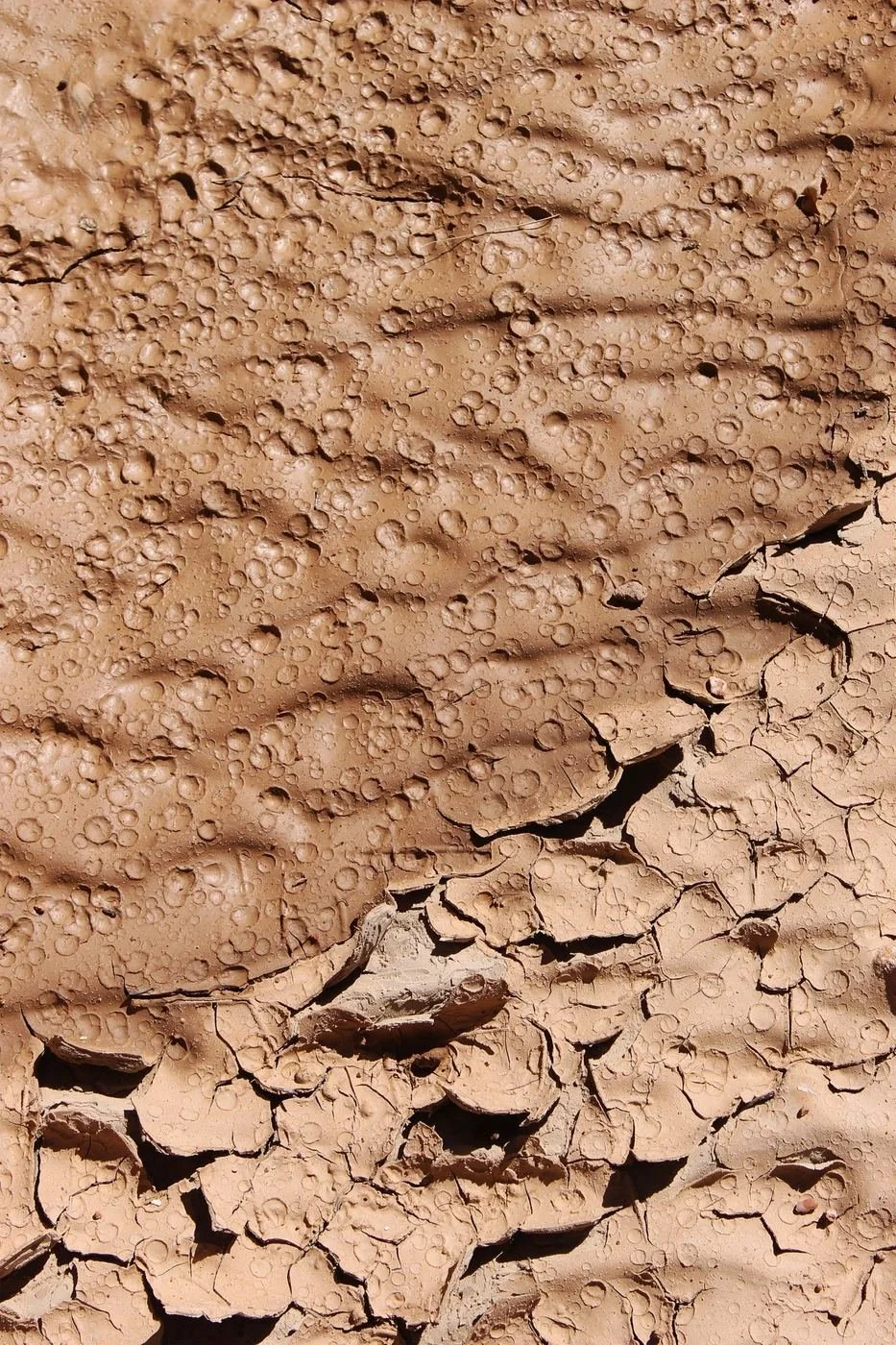 The cracked bed of Gallina Creek.