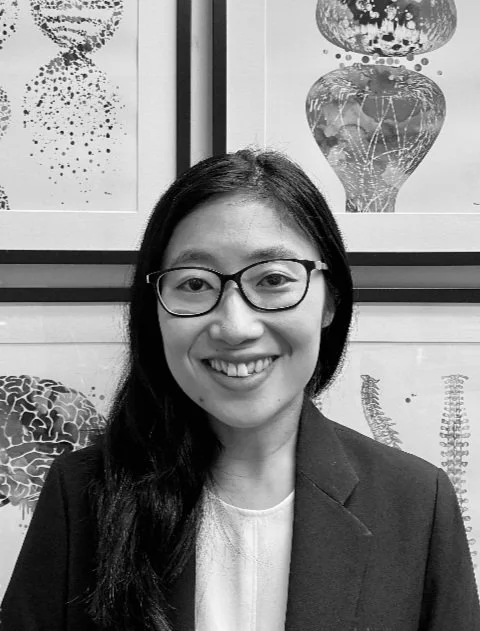 Dr Ying Liu