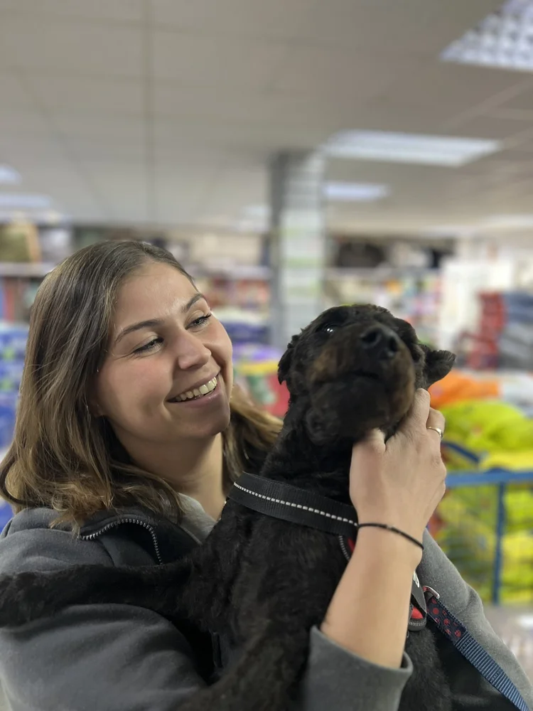 A McCaskie SQP holding a customer's dog in store