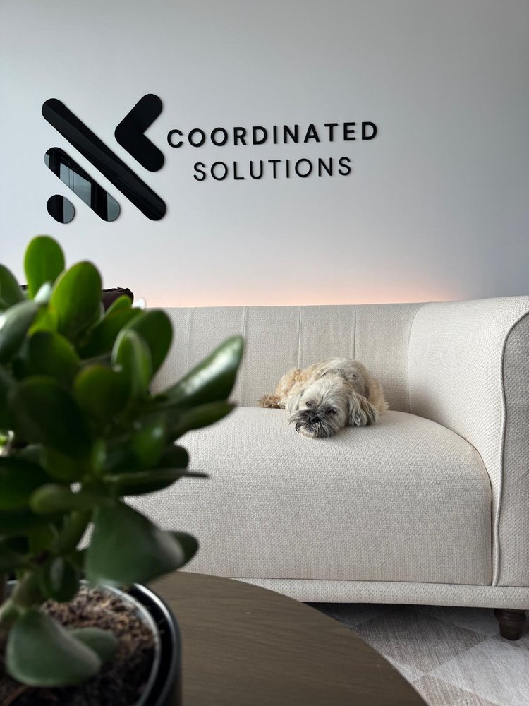 A dog resting on the sofa beneath the Coordinated Solutions sign