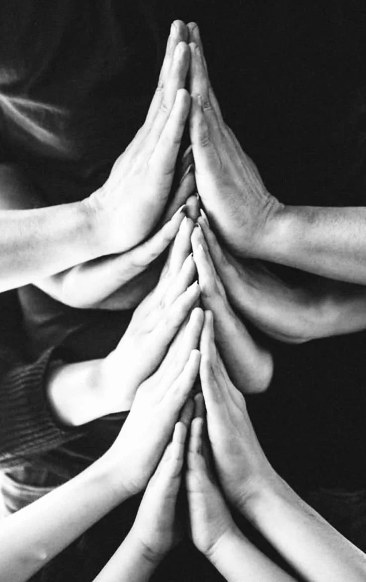 Somatic Systems for Advisors