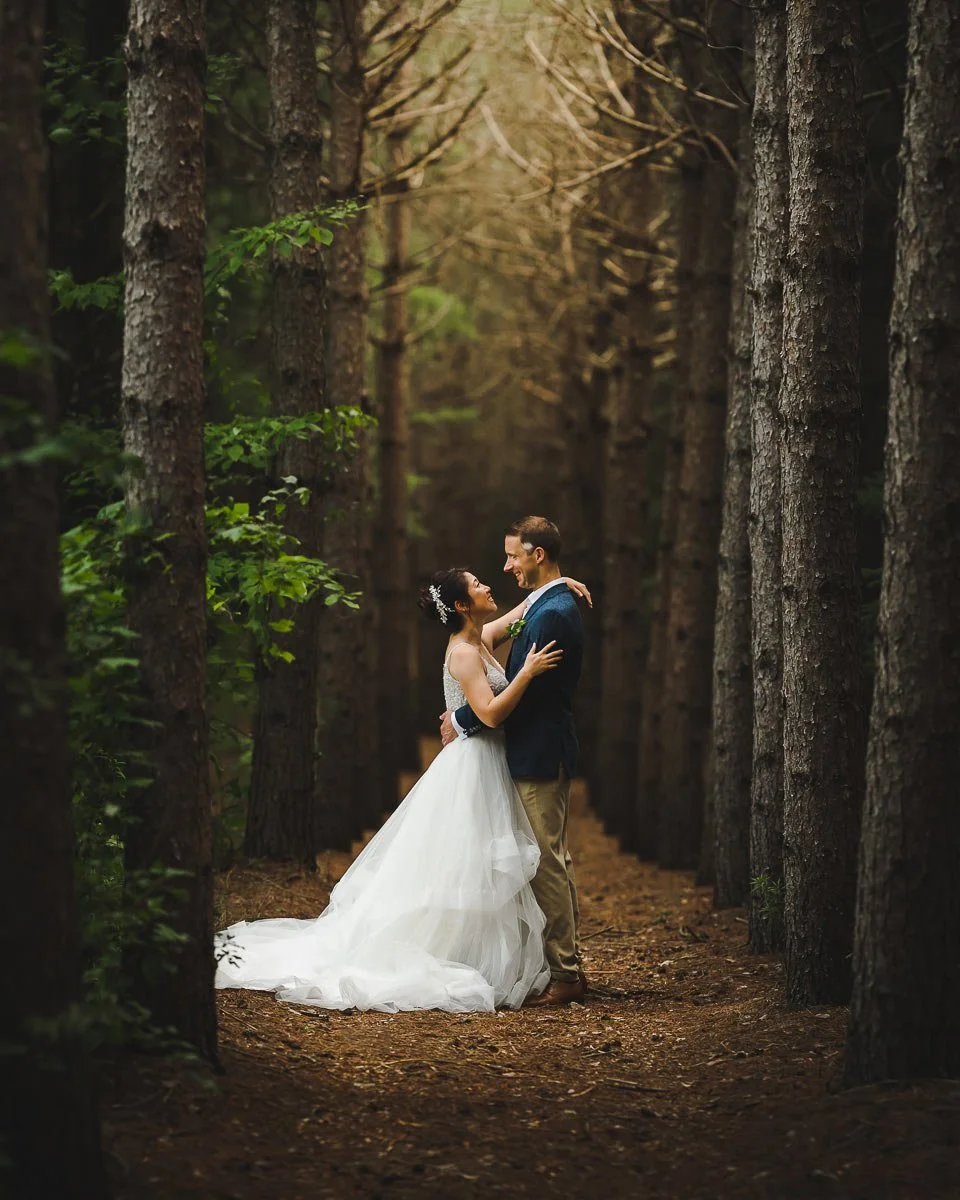 Wedding couple embracing on a path between tall evergreen trees
