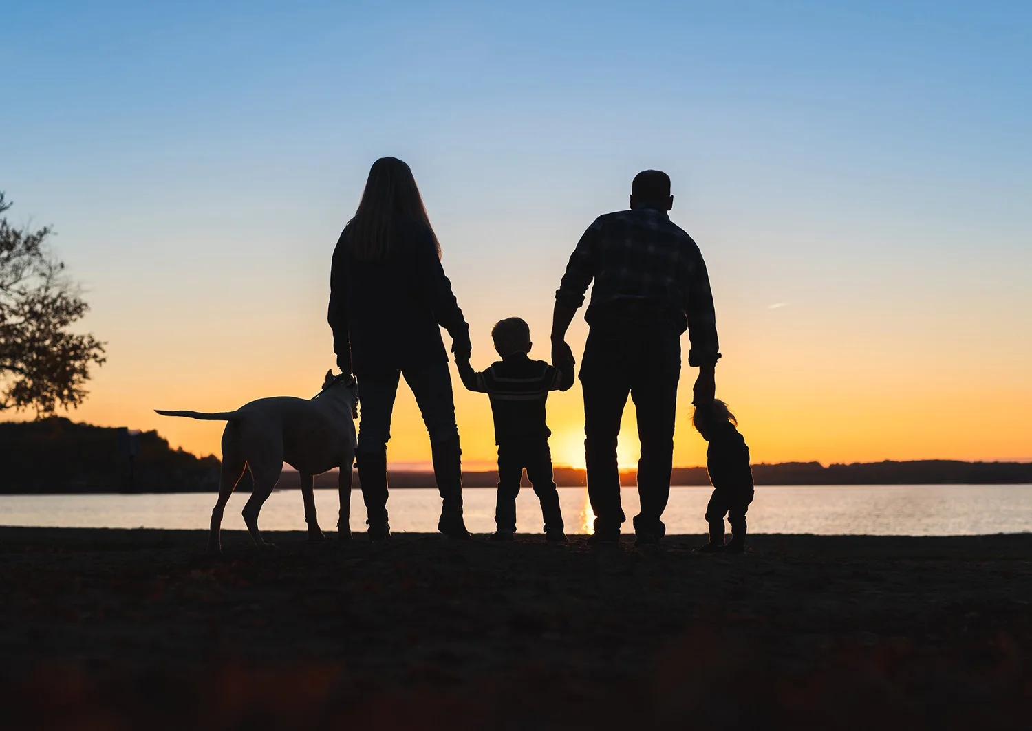 Family and their dogs silhouetted beside a lake at sunset