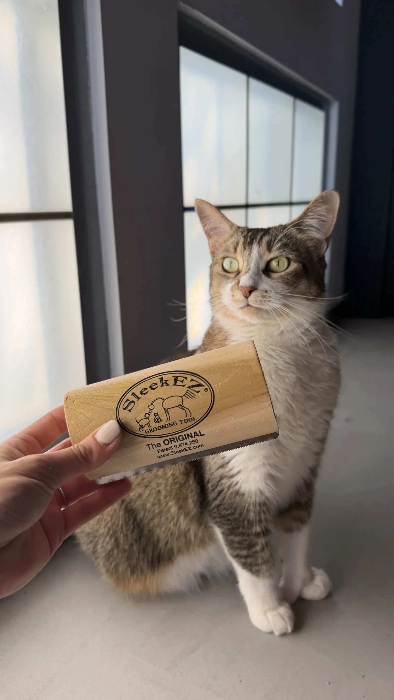 The SleekEZ grooming tool, our favorite brush for Savannahs