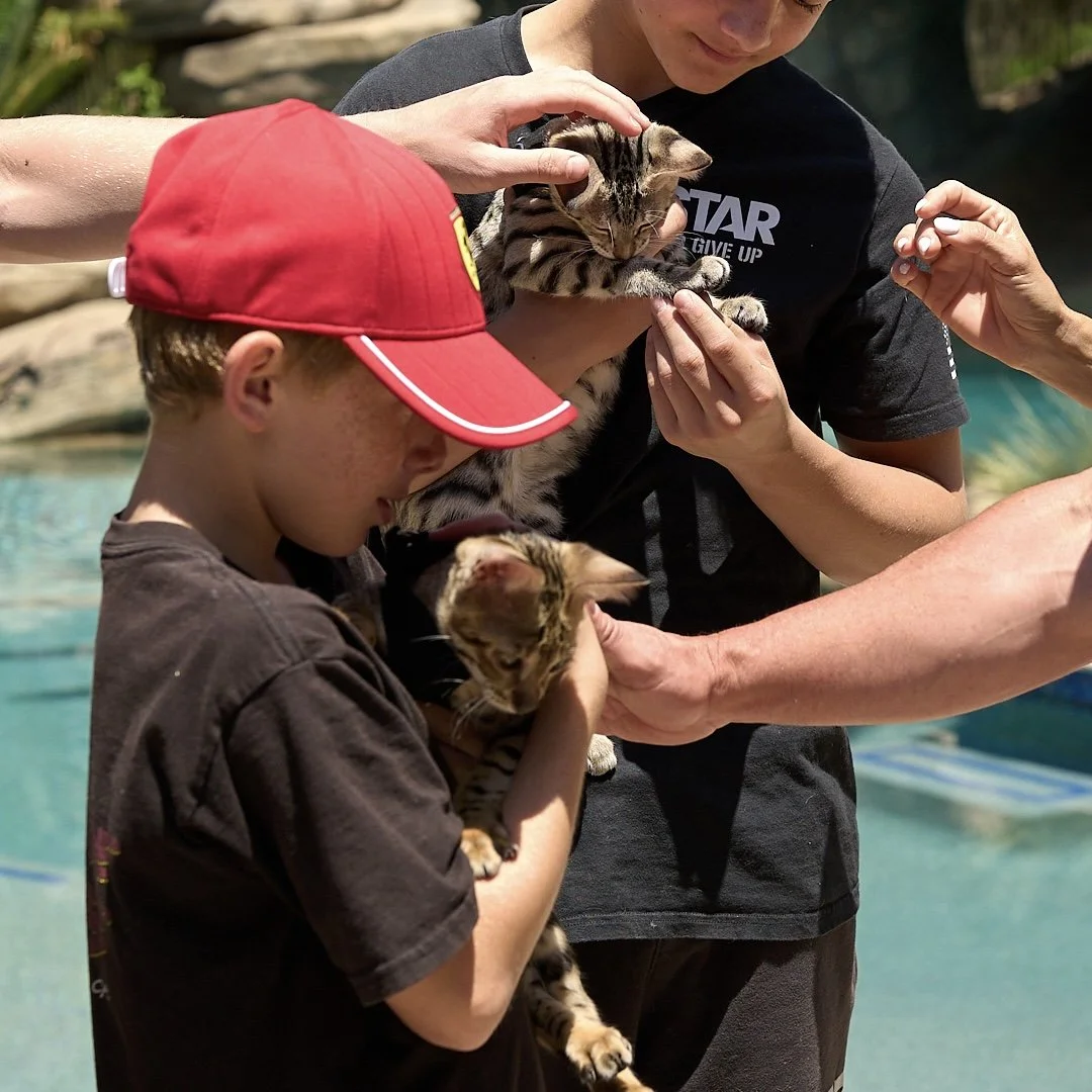 Kids petting SavCats kittens