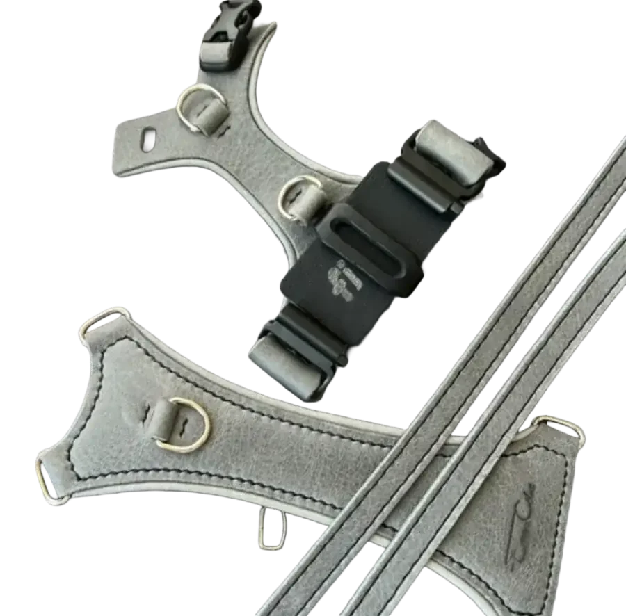 Emma Celine leather harness with a Fi tracker