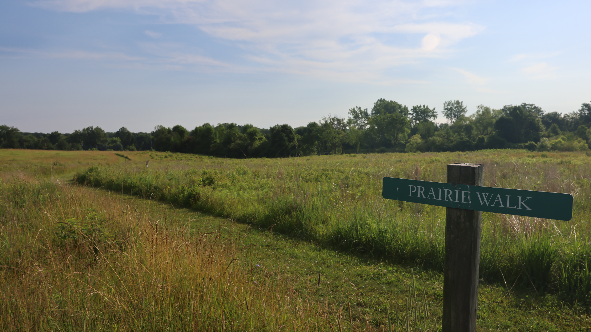 A walking trail at Crown Point