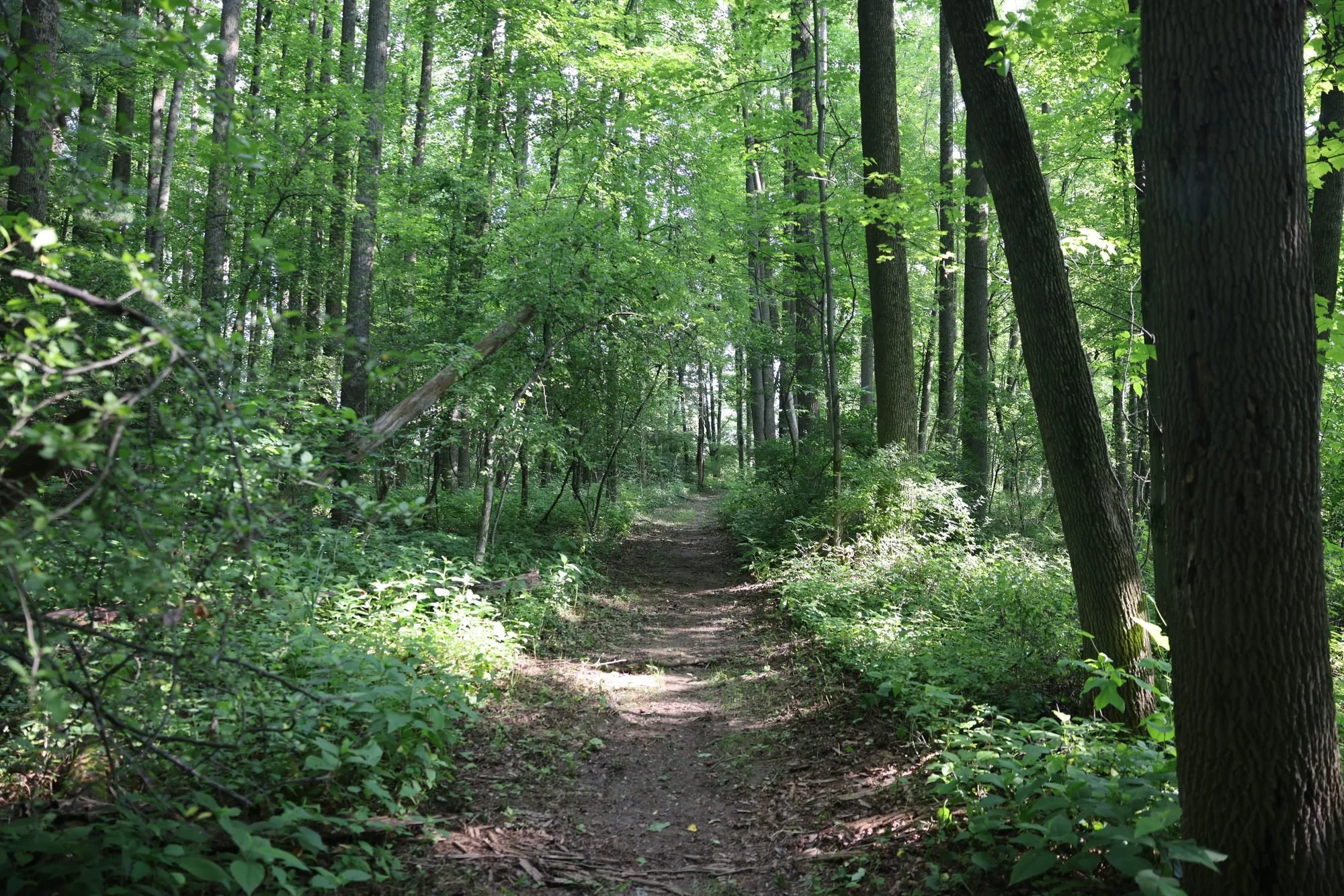 Trails at Crown Point