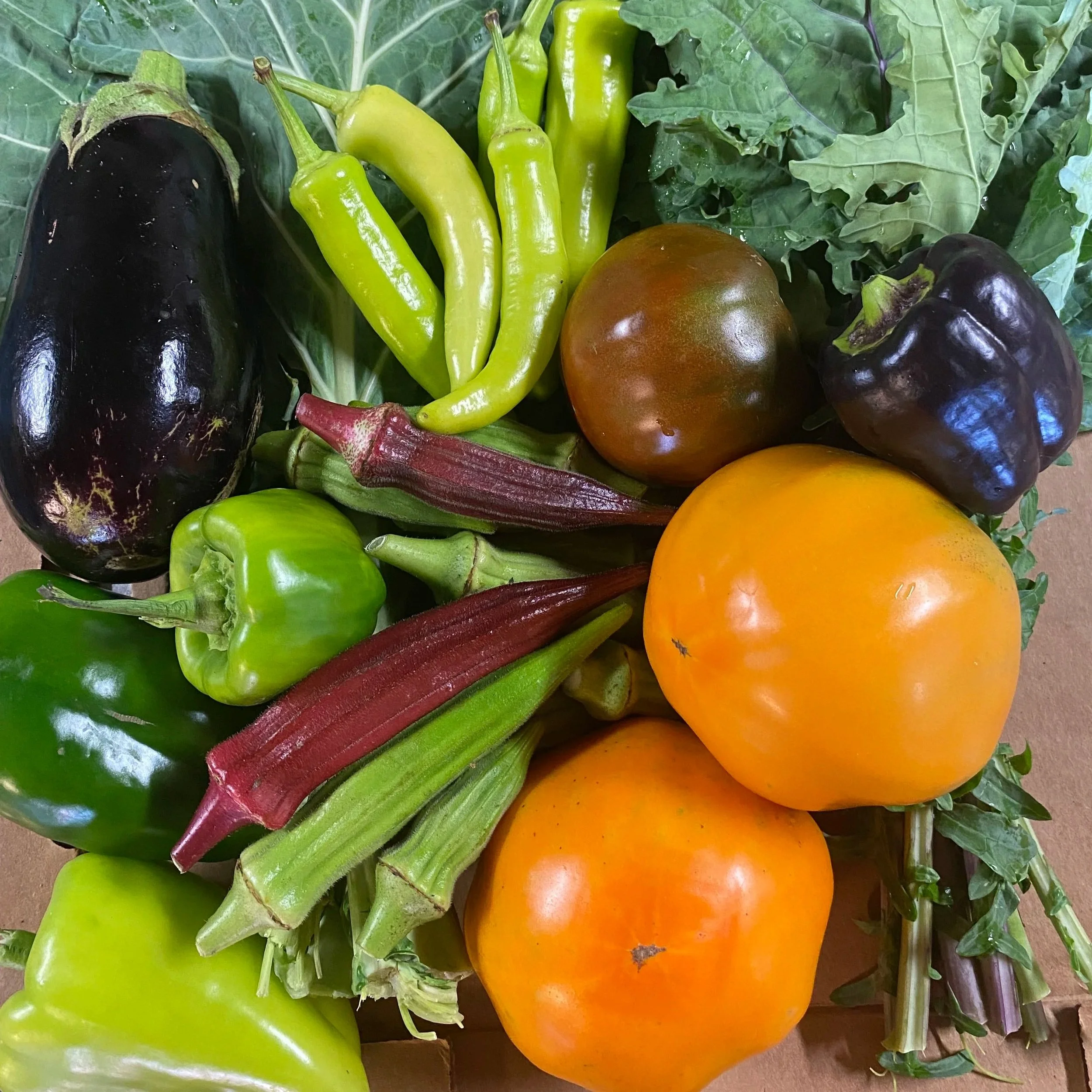 Join the Crown Point CSA