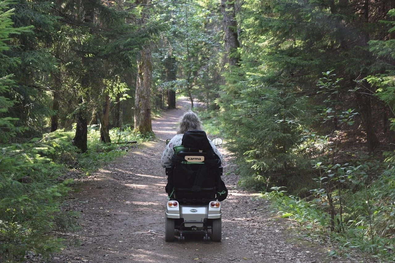 Exploring a trail in a wheelchair