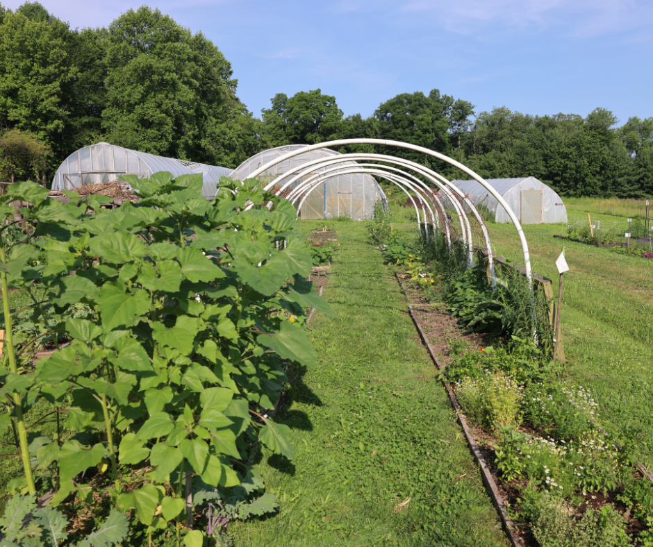 Children's gardens