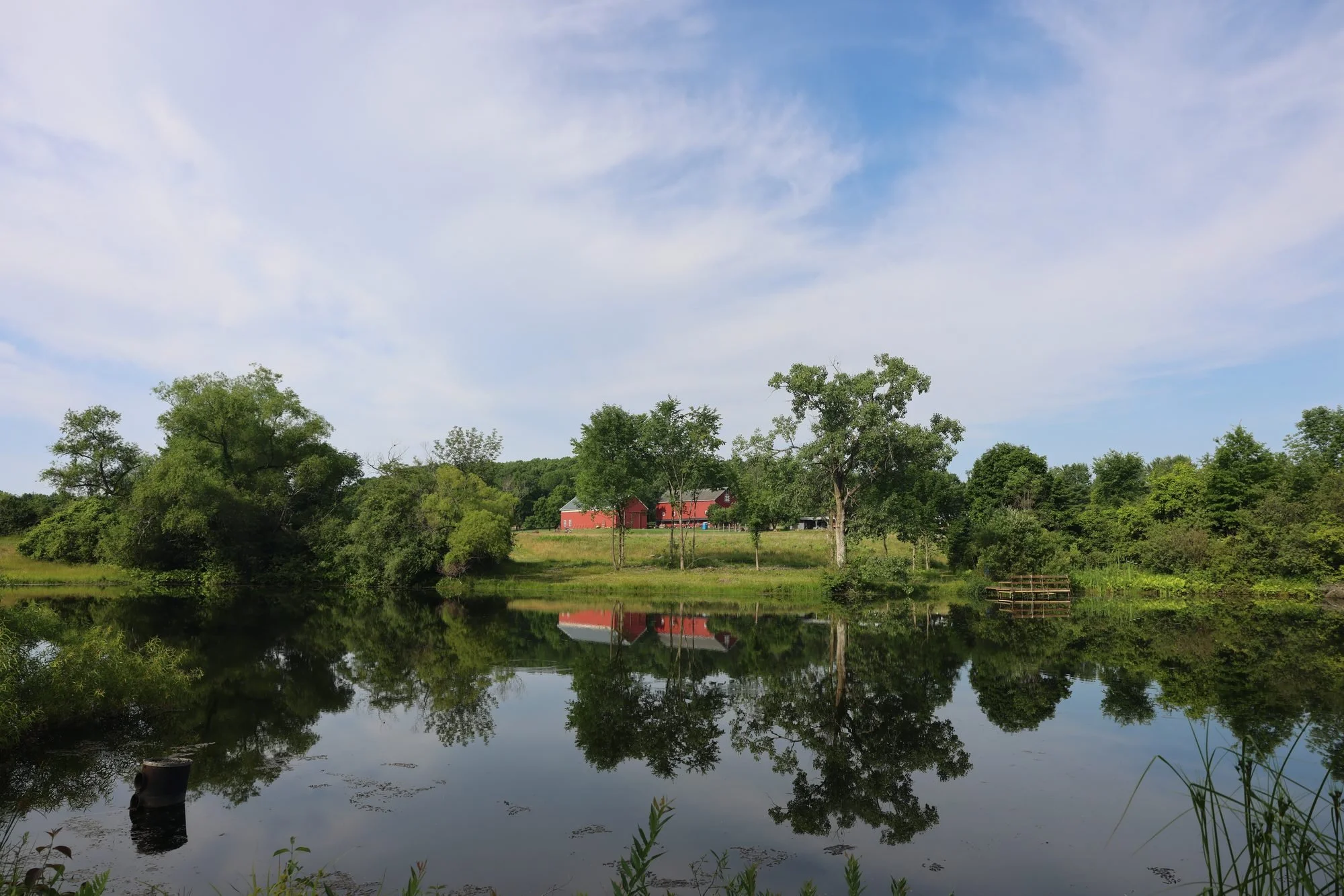 The Pond