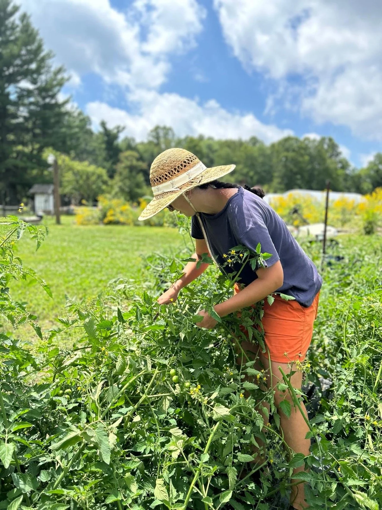 A farmer with a straw hat tends to the land
