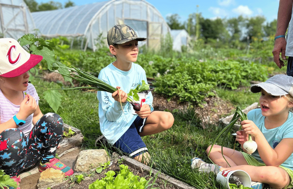 Gardening
