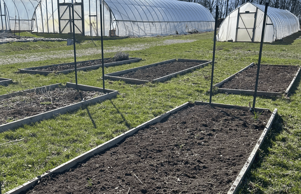 Community garden beds at Crown Point