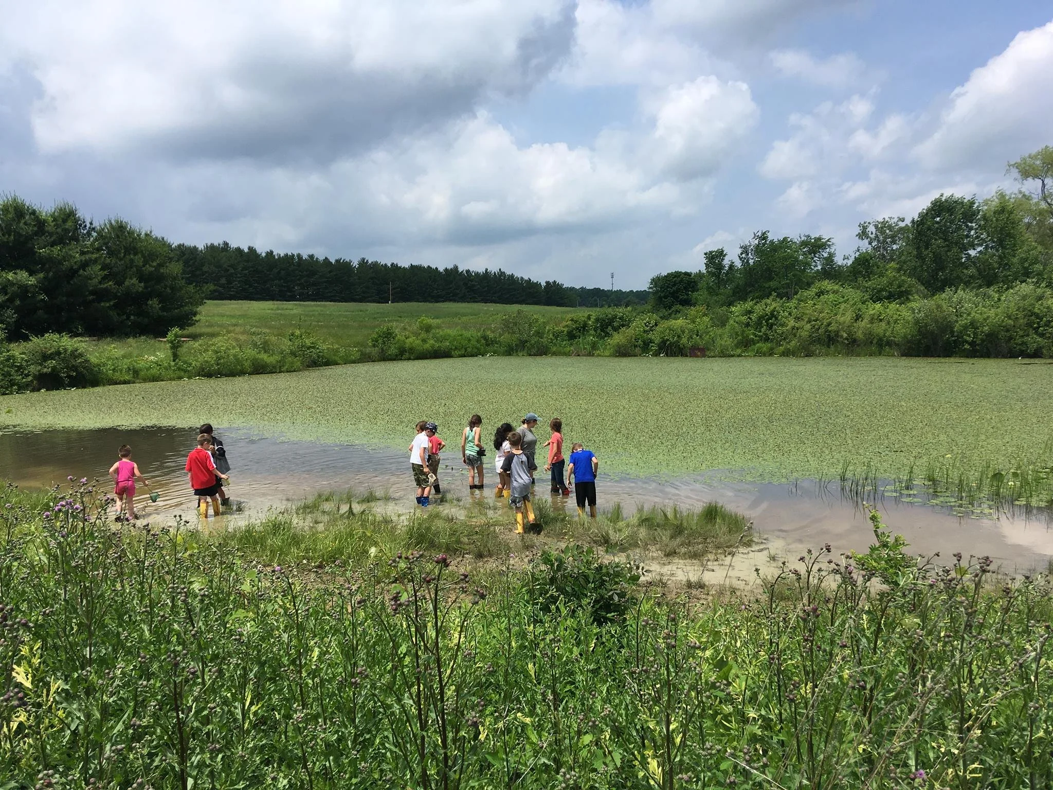 Kids explore the pond