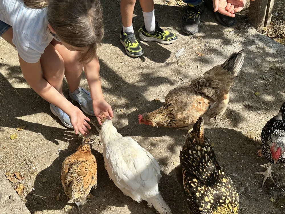 Campers at Crown Point Summer Farm Camp