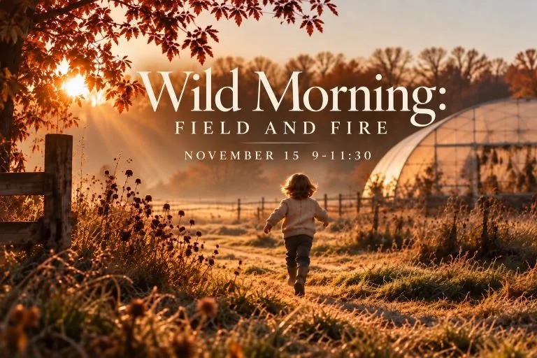 Wild Mornings