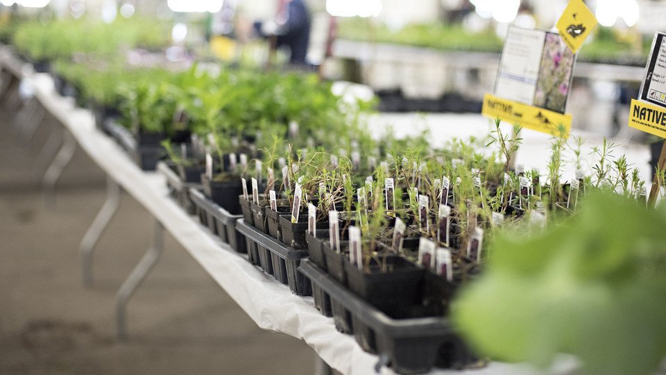 Certified Organic Plant Sale at Crown Point
