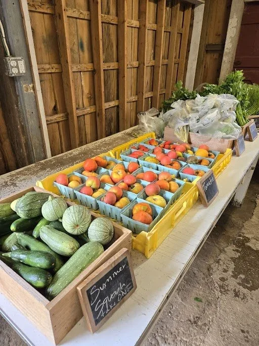 Certified organic produce from Crown Point's CSA