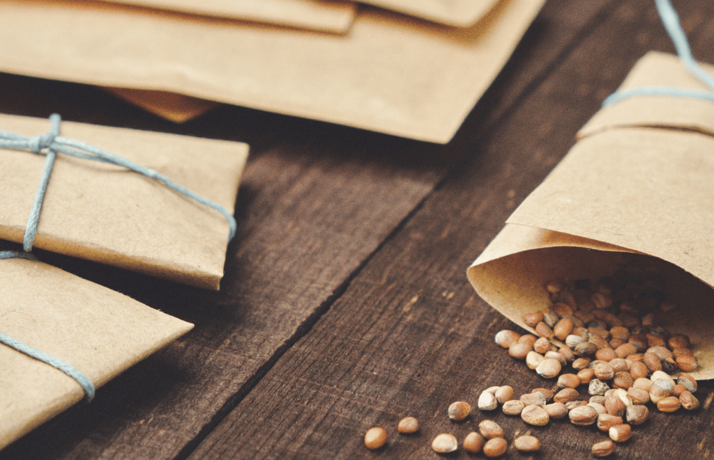 Seed Swap and Certified Organic Plant Sale at Crown Point