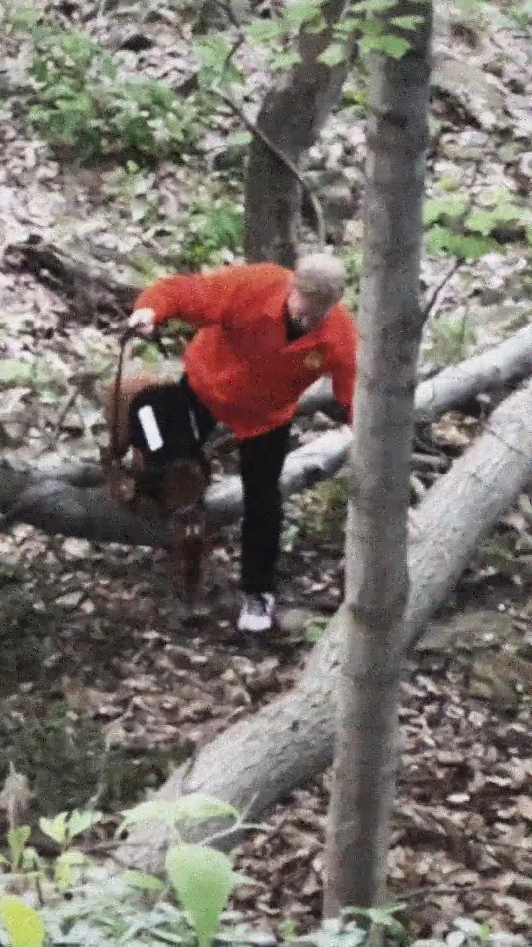 Teaser: Search Party